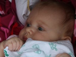 img_4554_web